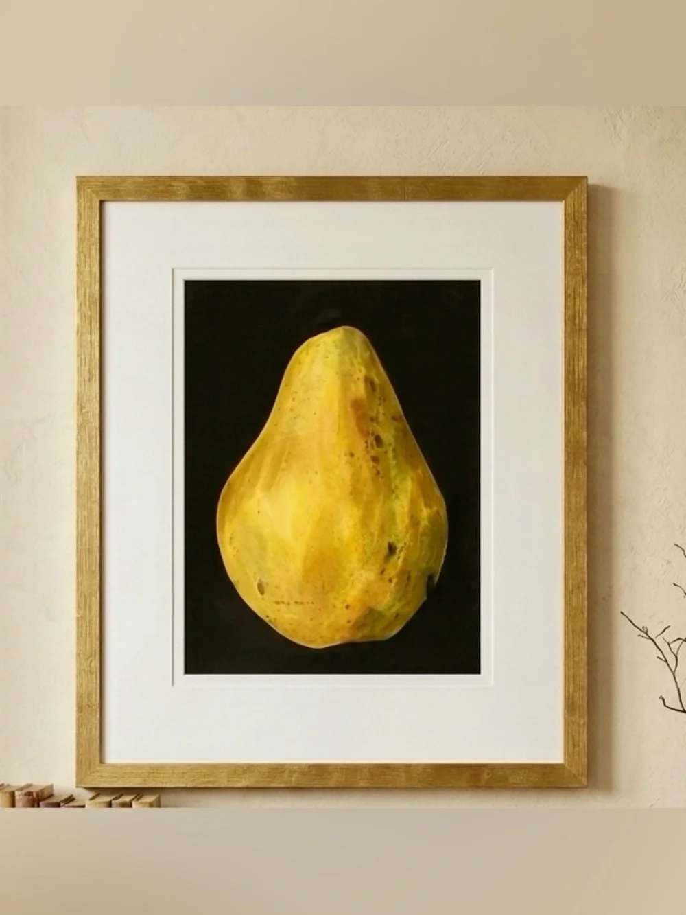 Bill Baily Framed Papaya Fruit Still Life Signed Art Print 18x22.5